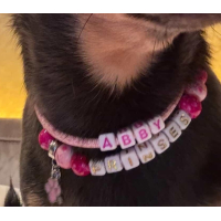 Hondenketting en kattenketting